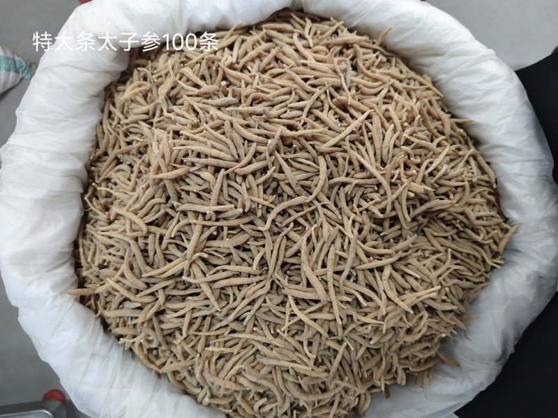 精品无硫太子参新干度净度颜色好量大从优