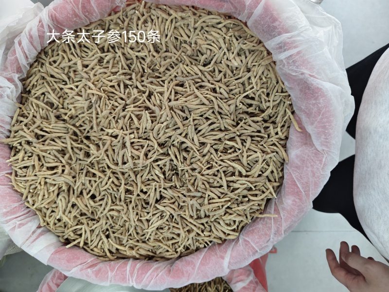 精品无硫太子参新干度净度颜色好量大从优