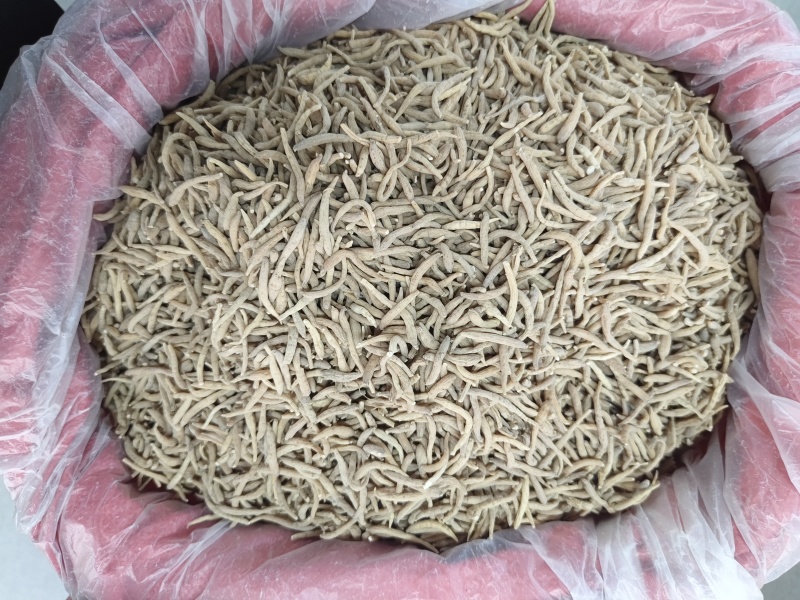 精品无硫太子参新干度净度颜色好量大从优
