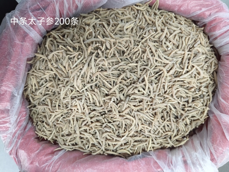 精品无硫太子参新干度净度颜色好量大从优