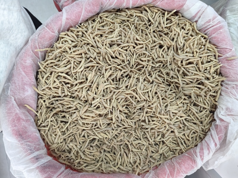 精品无硫太子参新干度净度颜色好量大从优
