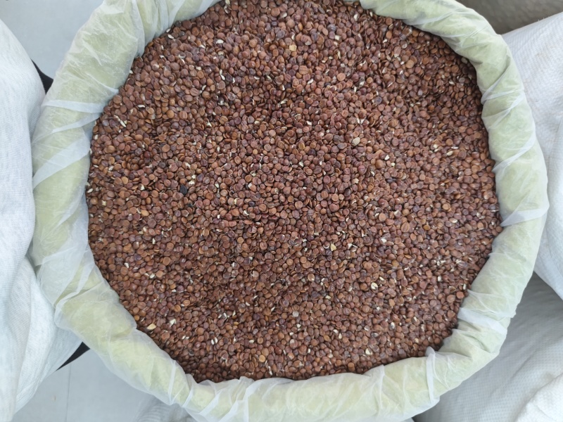 酸枣仁（包邮）三斤起发货可批量可零售量大从优