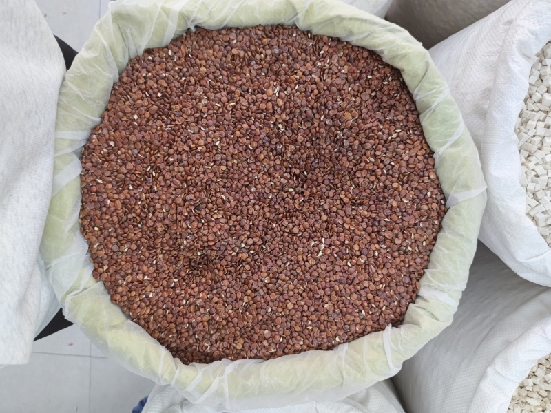 酸枣仁（包邮）三斤起发货可批量可零售量大从优