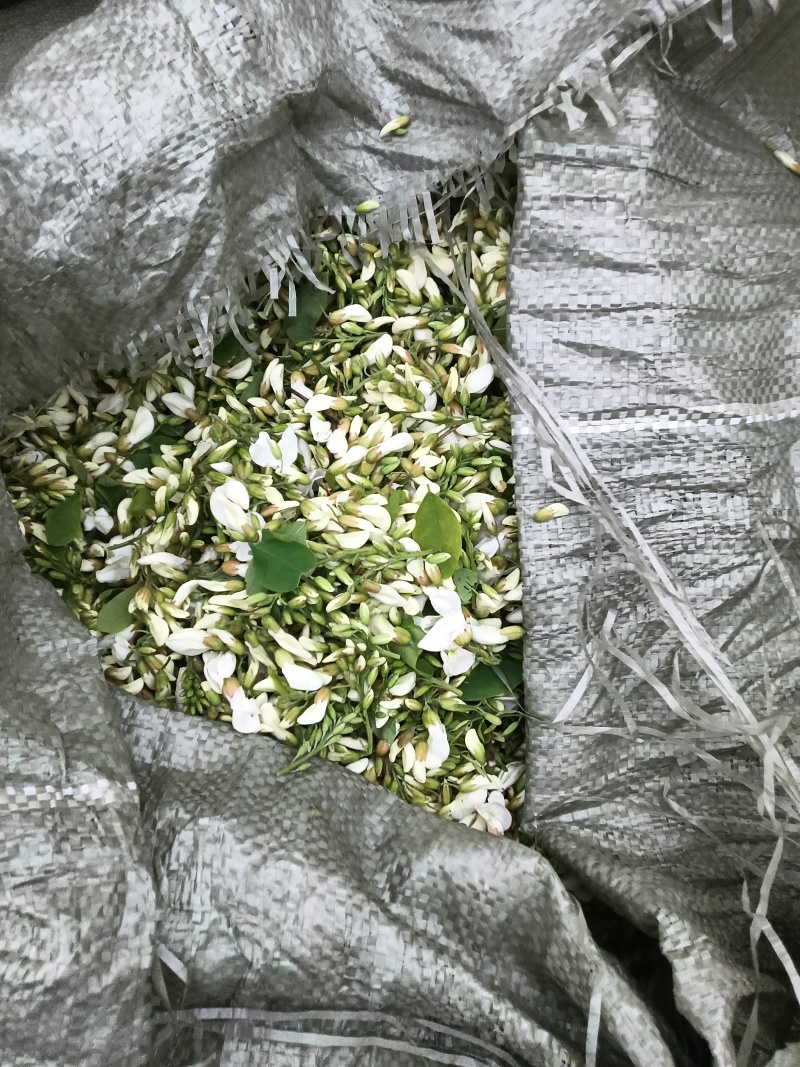 洋槐花