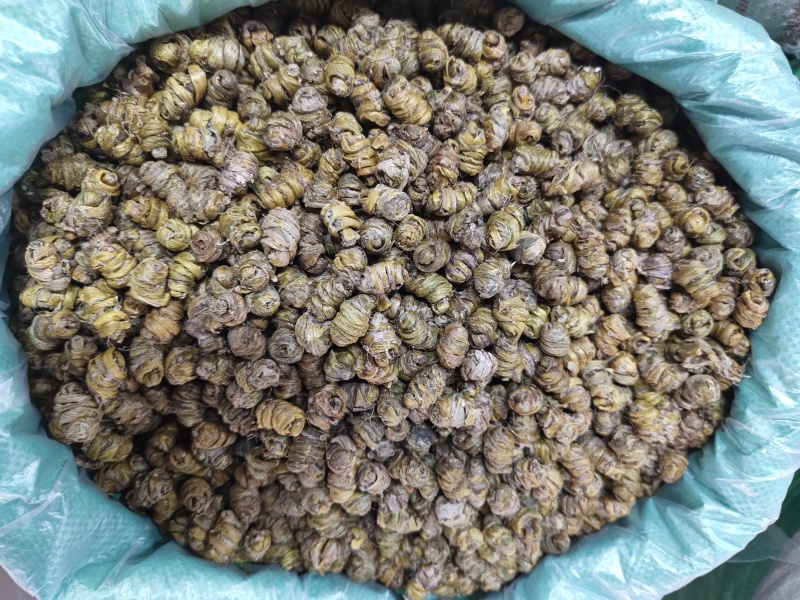 铁皮石斛霍山石斛仿野生铁皮石斛枫斗散装产地货源批发