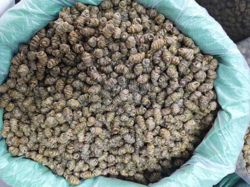 铁皮石斛霍山石斛仿野生铁皮石斛枫斗散装产地货源批发