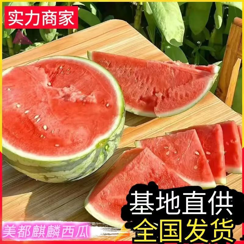 西瓜/山东西瓜/大量上市，全国发货，坏烂包赔