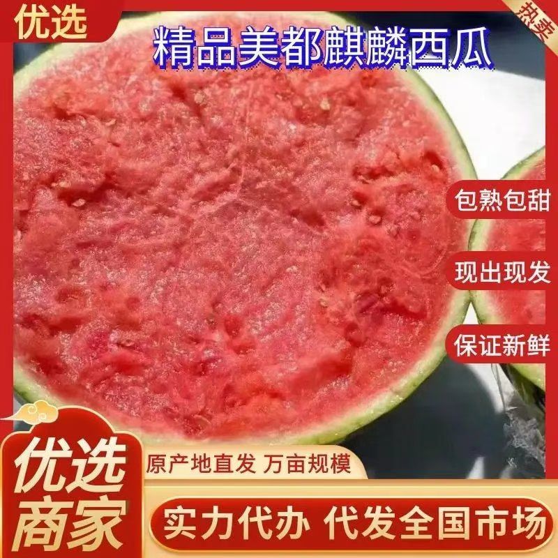 西瓜/山东西瓜/大量上市，全国发货，坏烂包赔