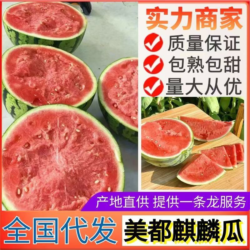 西瓜/山东西瓜/大量上市，全国发货，坏烂包赔
