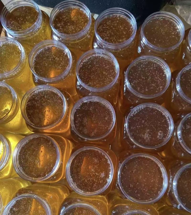 深山老林土蜂蜜