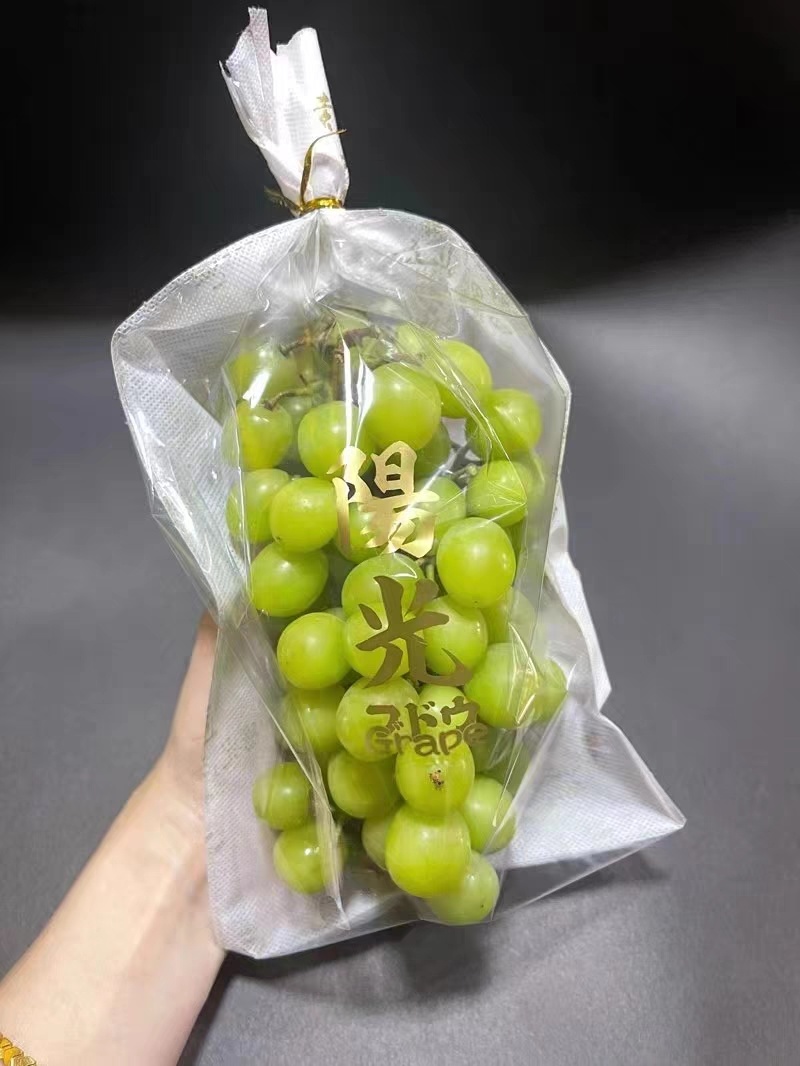 葡萄包装袋哈密瓜包装袋阳光玫瑰包装袋T型包装袋