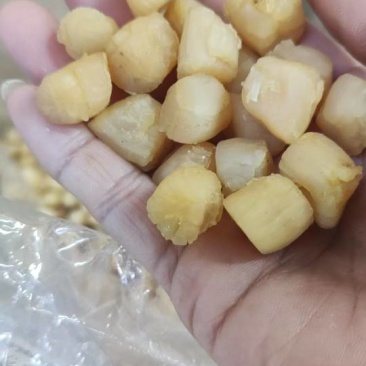 瑶柱，二百多头干货，***********