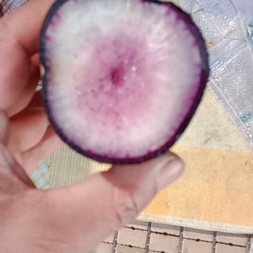 冰激凌水果箩卜