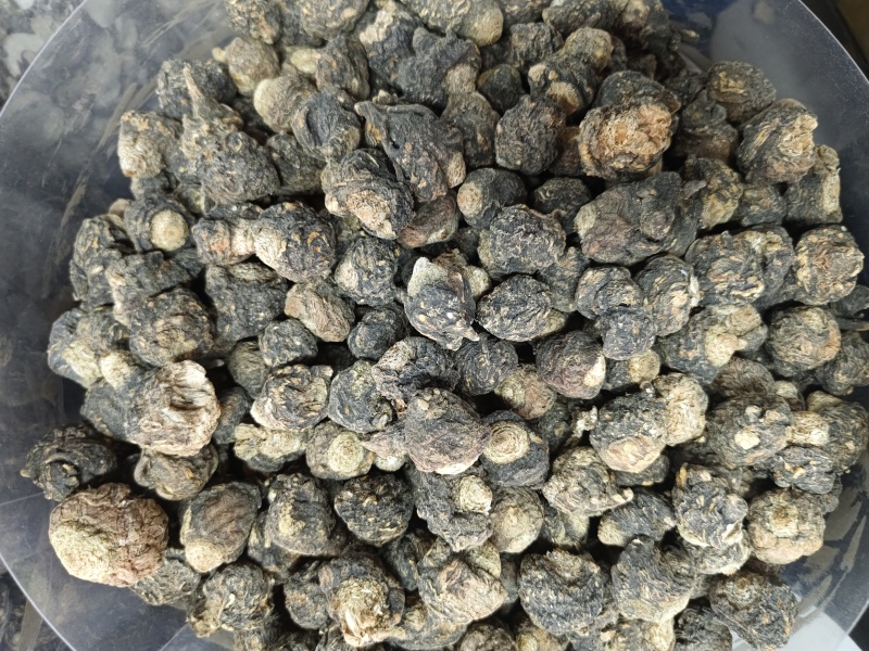 产地直发丽江黑玛卡干果人工挑选量大从优