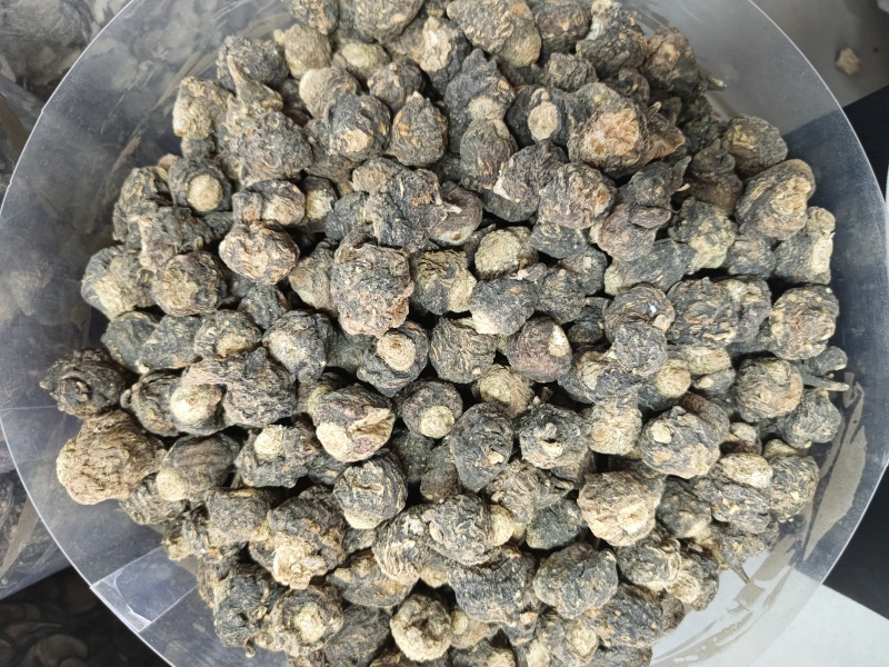 产地直发丽江黑玛卡干果人工挑选量大从优