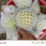 陆丰市红宝石芭乐