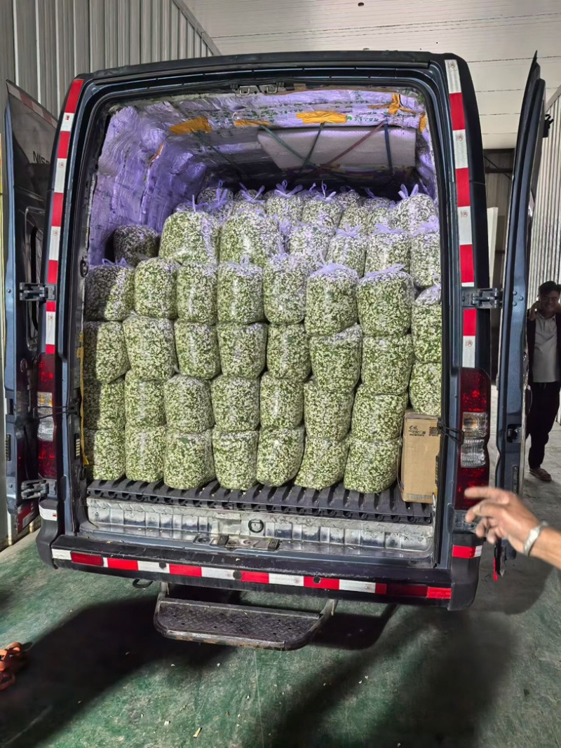 洋槐花鲜洋槐花/市场电商/质量有保证