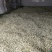 洋槐花鲜洋槐花/市场电商/质量有保证