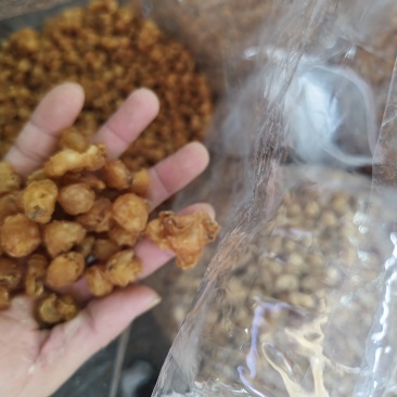 广西桂圆肉石硖桂圆肉龙眼干品质保证量大从优