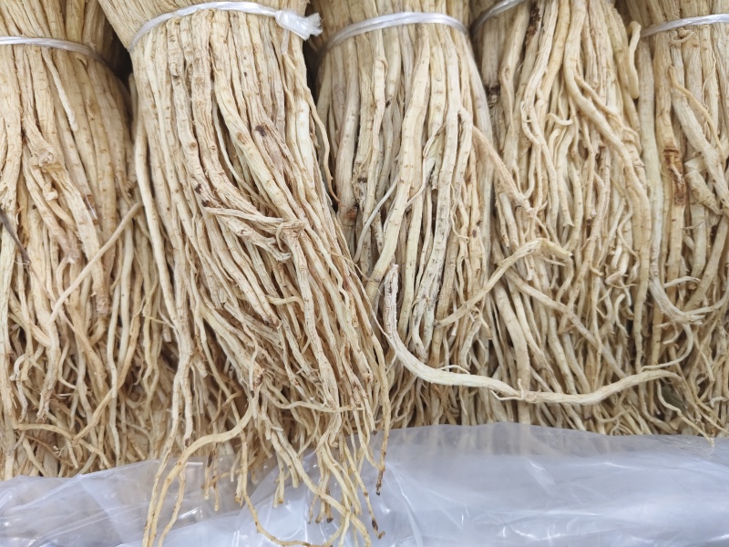 当归条小中大条原产地保质保量长期供货新鲜上市