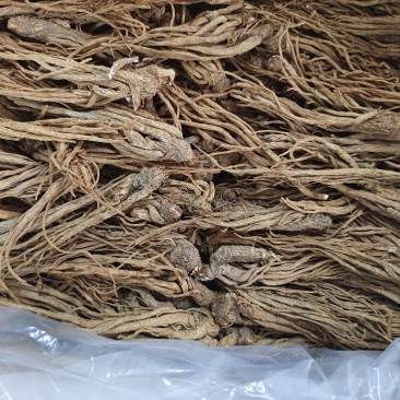 当归条小中大条原产地保质保量长期供货新鲜上市