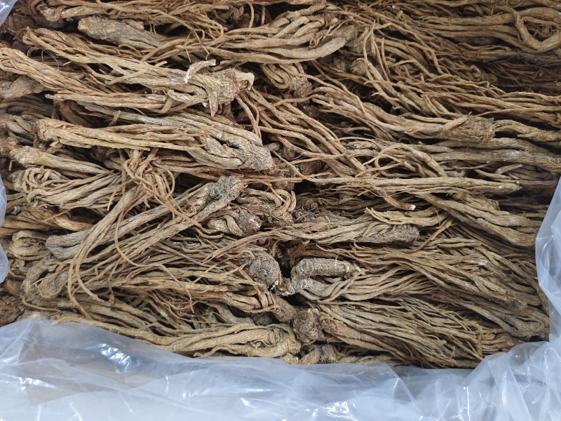 当归条小中大条原产地保质保量长期供货新鲜上市