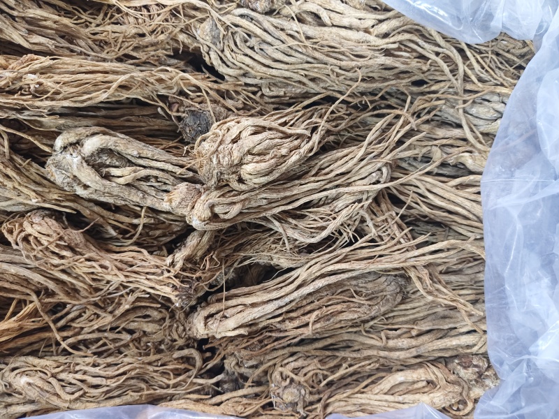 当归条小中大条原产地保质保量长期供货新鲜上市