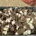 【推荐】羊肚菌干货一手货源基地直发价格优惠