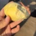 金枕榴莲一手批发价格，A果保5房，坏果包赔，货到付款