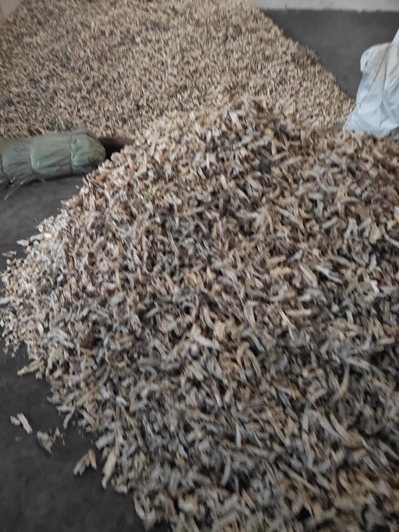 魔芋干片