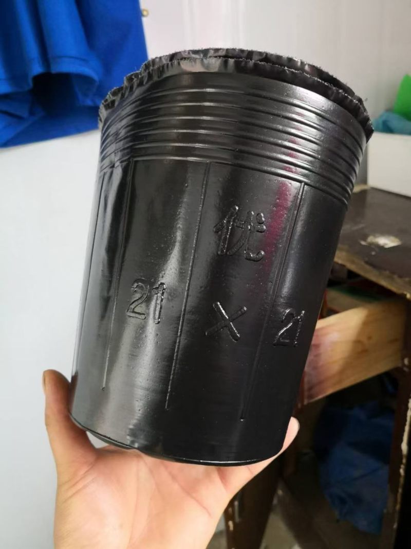 21*21黑色塑料树苗杯
