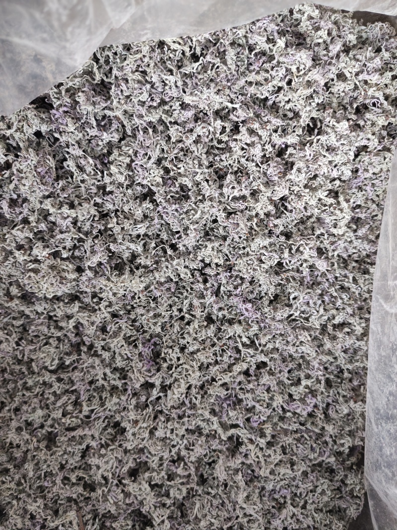 莓茶
