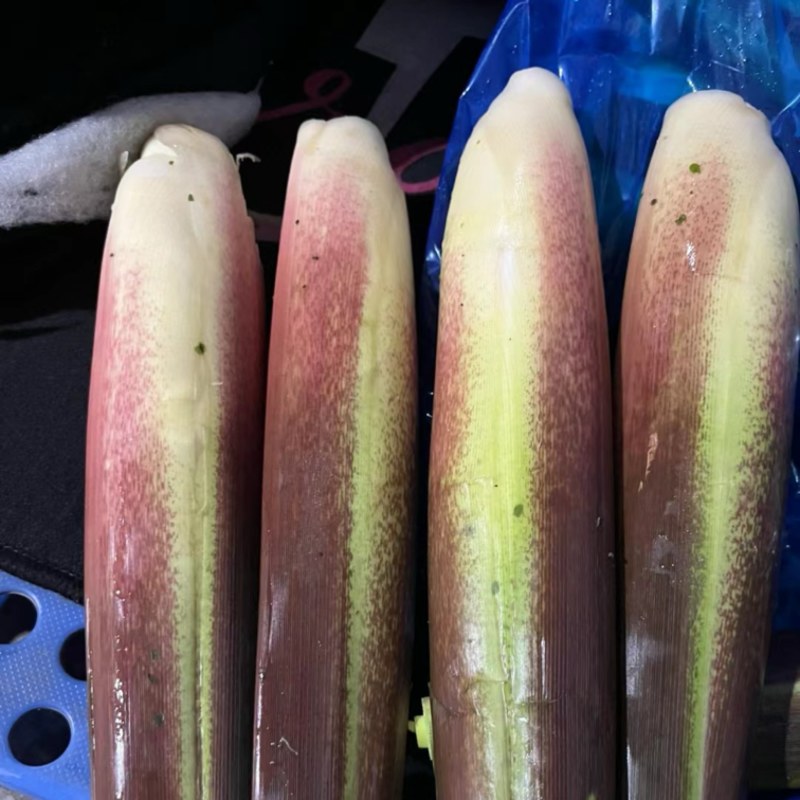 精品茭白货量充足，全国发货，量大从优致电联系