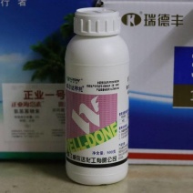 威尔达甲托50%甲基硫菌灵悬浮剂正品纹枯病水稻农药杀菌剂