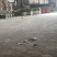 成信