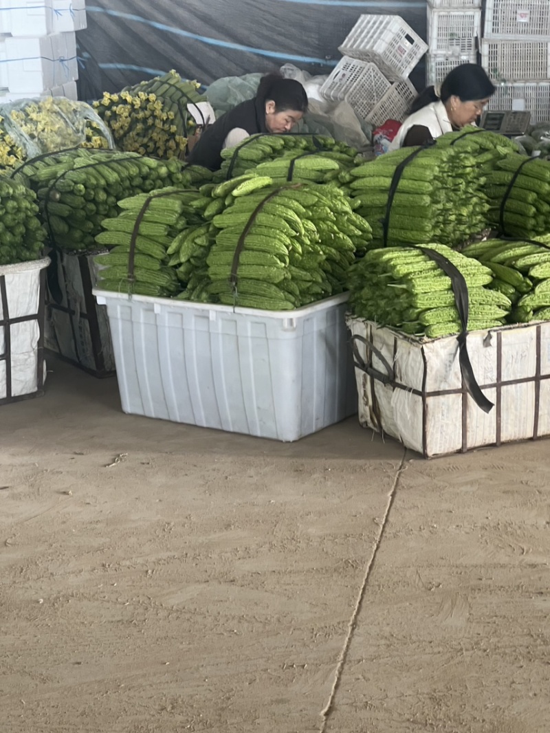 成信