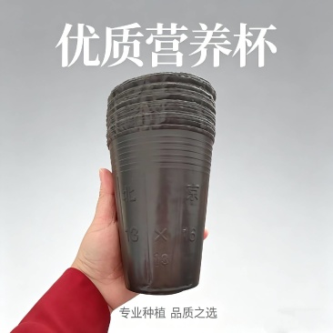 13*16加高树苗杯，营养杯厂家直销