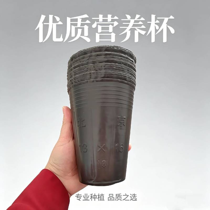 13*16加高树苗杯，营养杯厂家直销