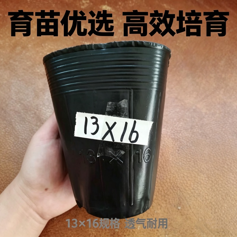 13*16加高树苗杯，营养杯厂家直销