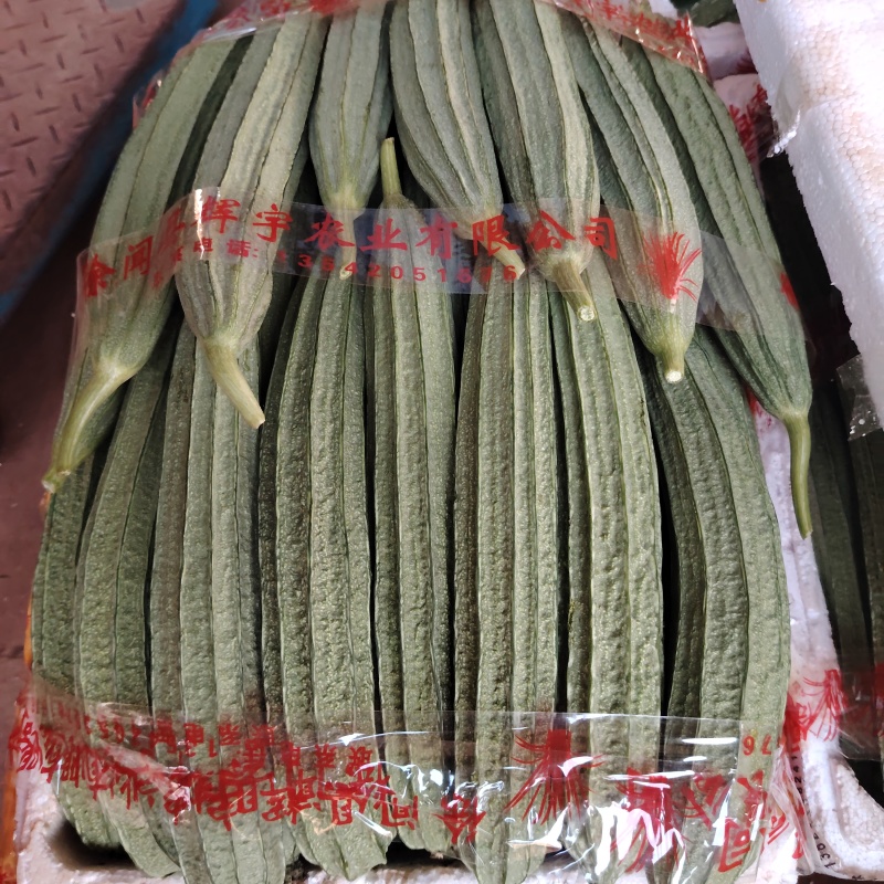 丝瓜