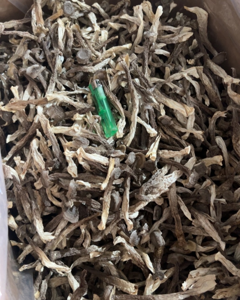 鹿茸菇干货厂家直销无硫新货肉质肥厚煲汤炒菜鲜香美味