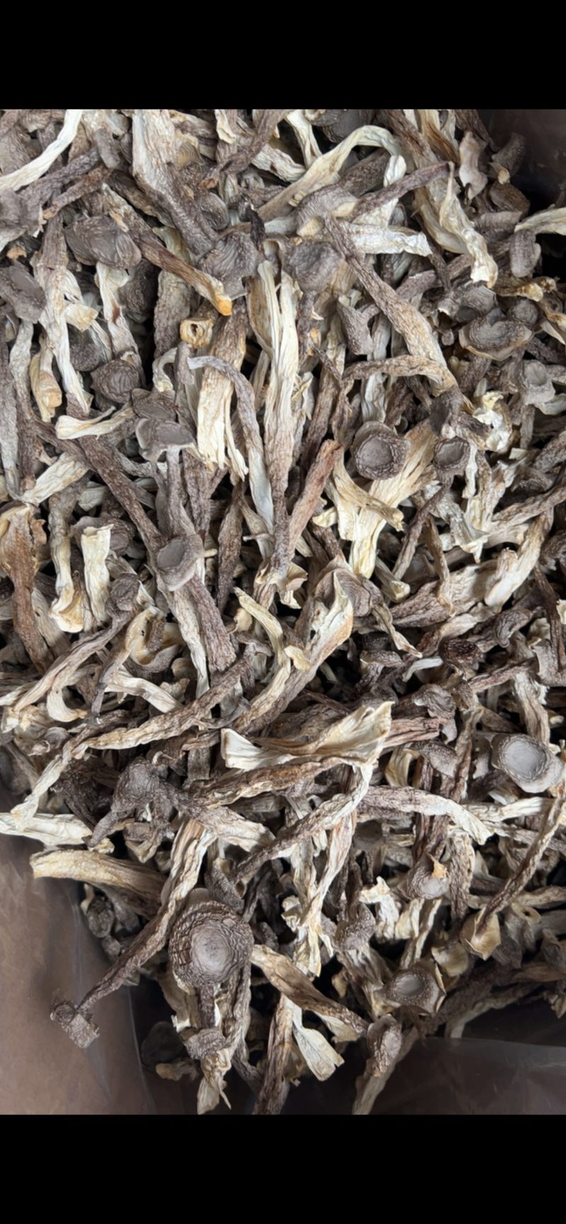 鹿茸菇干货厂家直销无硫新货肉质肥厚煲汤炒菜鲜香美味