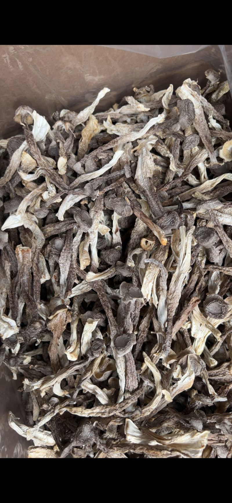 鹿茸菇干货厂家直销无硫新货肉质肥厚煲汤炒菜鲜香美味