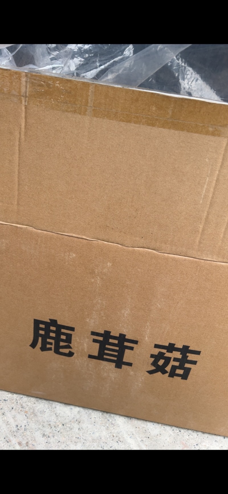 鹿茸菇干货厂家直销无硫新货肉质肥厚煲汤炒菜鲜香美味