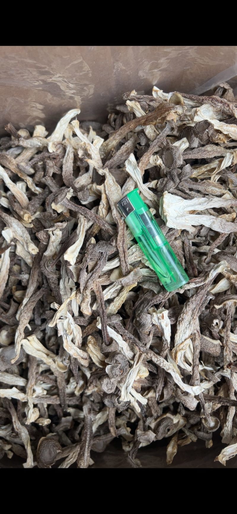 鹿茸菇干货厂家直销无硫新货肉质肥厚煲汤炒菜鲜香美味