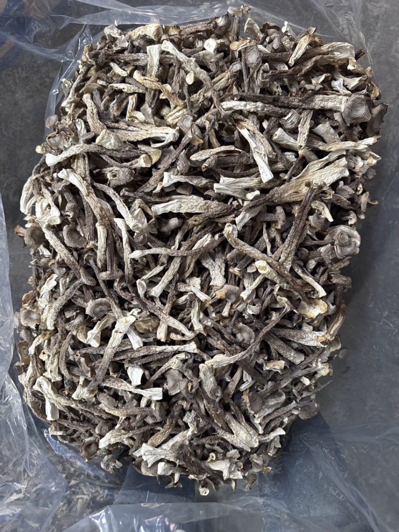 鹿茸菇干货厂家直销无硫新货肉质肥厚煲汤炒菜鲜香美味