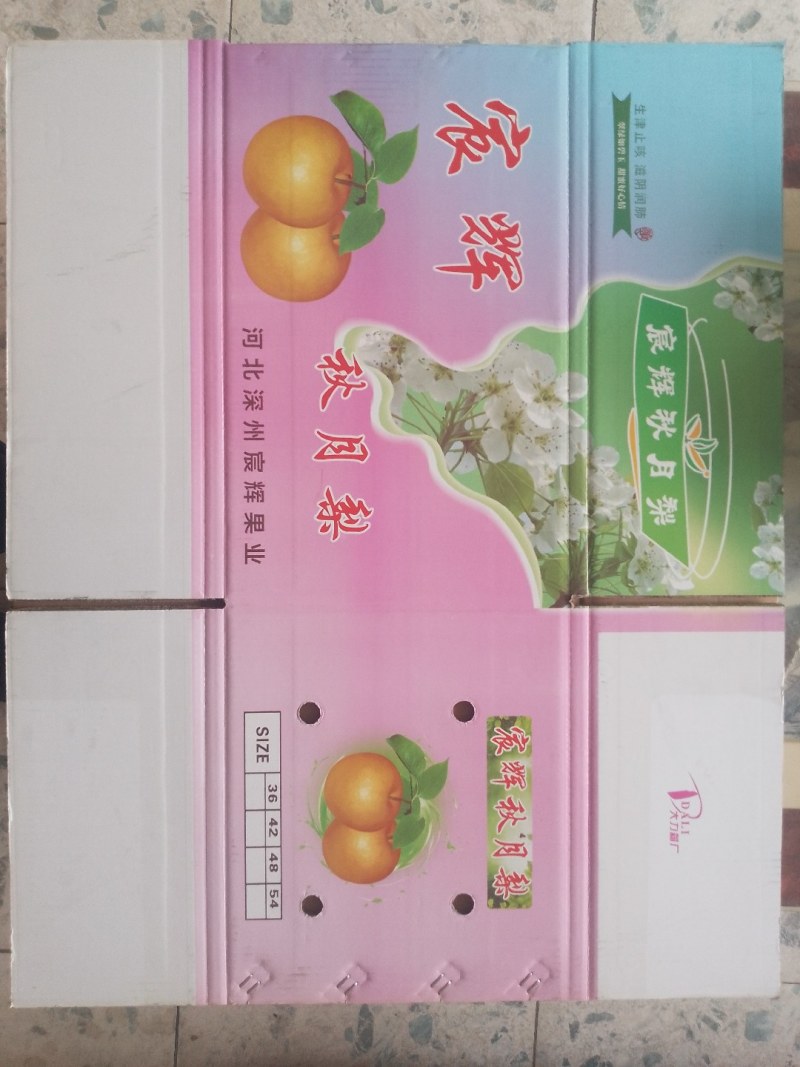 纸箱包装