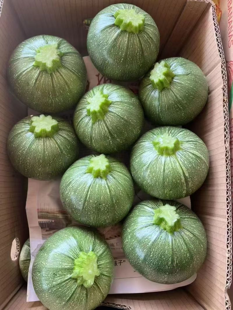精品圆葫芦！产地直发，量大从优！欢迎来电咨询！