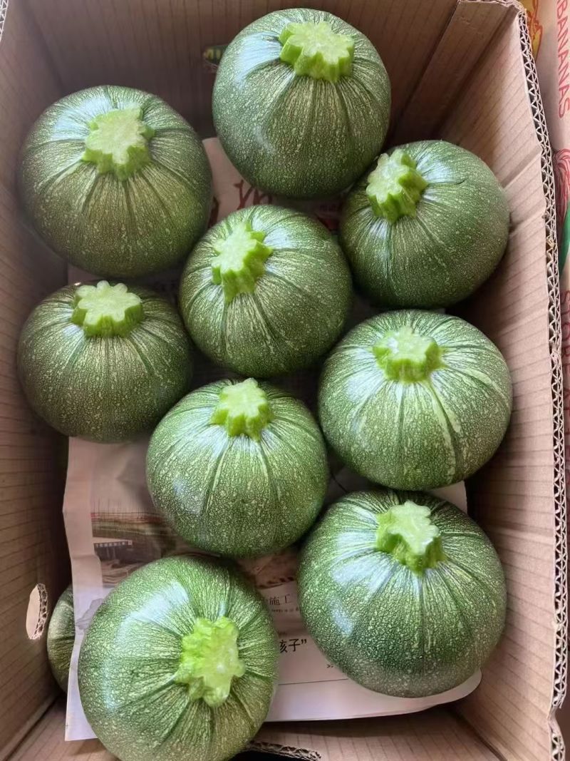 精品圆葫芦！产地直发，量大从优！欢迎来电咨询！