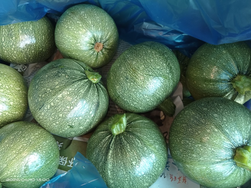 精品圆葫芦！产地直发，量大从优！欢迎来电咨询！